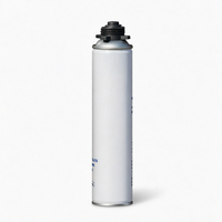Scellant en mousse polyuréthane PU monocomposant de 750 ml, adhésif isolant expansif pour l'installation de fenêtres et de portes