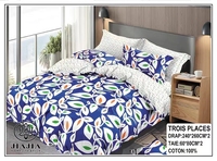 Parure de lit 4 pièces en coton style africain Jimmy avec taies d'oreiller pour l'hiver, disponible en tailles King, Queen, 3 places et 2 places, motifs variés