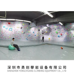 Chất lượng cao dành cho người lớn leo núi tường giữ nhựa trong nhà và ngoài trời công viên tính năng cho vườn leo núi - Product Image 6