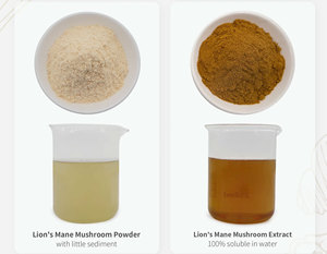 Порошок экстракта грибов из органического льва - Product Image 2