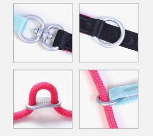 Correa para Perros de Neopreno y Poliéster, Estilo Nuevo, Duradera, Personalizada, al por Mayor, con Cadena, Correa Deslizante para Exhibición Canina con Dos Asas - Product Image 6