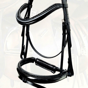 Brida Ecuestre Premium Brillante para Caballo - Product Image 1