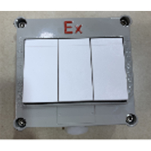 141*170*76.5mm patlamaya dayanıklı duvar anahtarı - Product Image 2