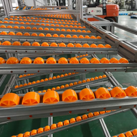 Placon rouleau convoyeur à rouleaux rouleau en plastique rouleau en alliage d'aluminium pour la connexion du système d'étagère coulissante avec convoyeur