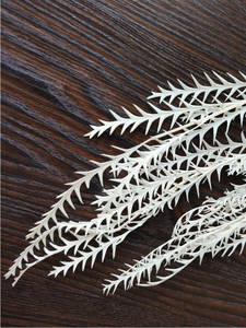 Flor de hoja de diente de sable eterno preservada para decoración del hogar y ramos de boda para arreglos florales domésticos - Product Image 2