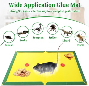 Chuột Keo bẫy kích thước lớn bẫy dính Pad Chuột Repeller N <span class=keywords><strong>12</strong></span> gói lớn Chuột Keo Bẫy với tăng cường dính màu xanh lá cây - Product Image 3