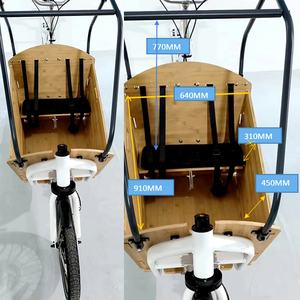 Remorque de vélo électrique à deux roues en alliage d'aluminium avec batterie au lithium pour bébé - Product Image 3