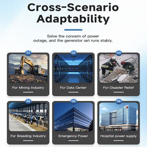 50 kva 60 kva 70 kva 80 kva 100 kw 200 kw 500kva מחולל כוח גז טבעי - Product Image 5