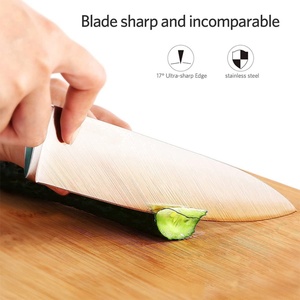 Ensemble de couteaux de cuisine professionnels en acier inoxydable à manche creux, 16 pièces, avec bloc et aiguiseur - Product Image 4