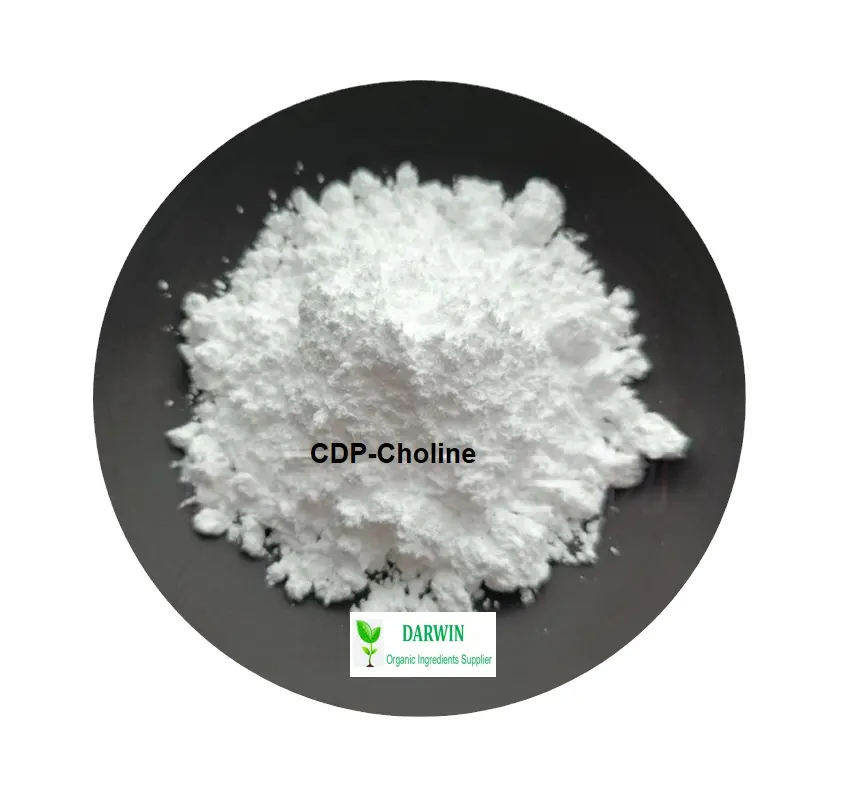CAS 987-78-0 סיטיקולין סיטיקולין 98% 99% CDP-קולאין אבקת CDP קולין