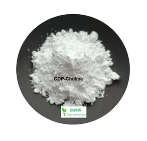 CAS 987 Citicholine Citicoline 98% 99% CDP-choline poudre CDP choline