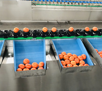 Heetverkopende, hoog-efficiënte industriële automatische sorteermachine voor fruit