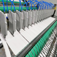 Machine de découpe automatique de feuilles de détergent de 1600 mm avec contrôle de fréquence, auxiliaire pour ligne complète de production de feuilles de lessive