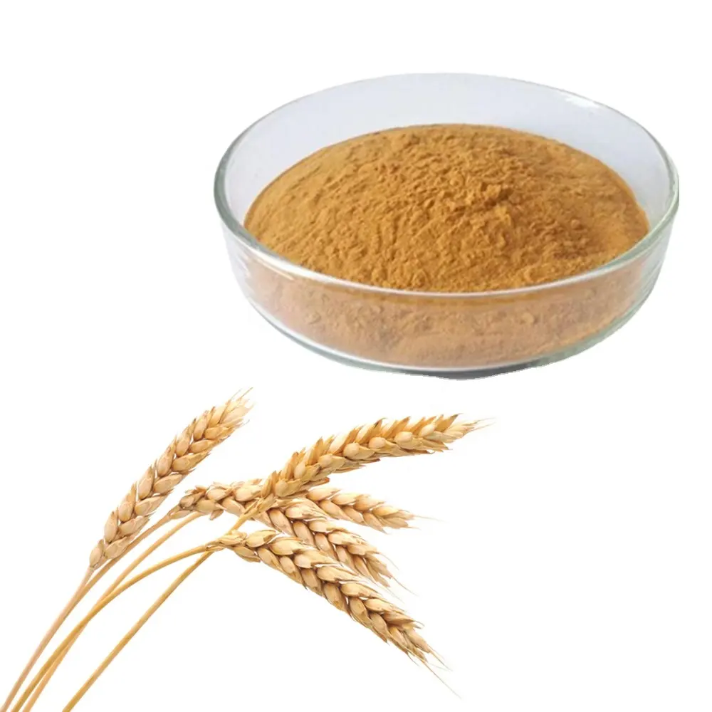 Estratto di germe di grano organico naturale puro di fabbricazione calda del rifornimento della fabbrica di vendita