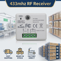 Interruptor de Control Remoto Inalámbrico Universal de 433 Mhz, 110 V, 220 V, 10 A, Mini Receptor de Relé, Control Remoto para Lámpara LED del Hogar