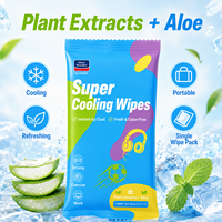 Lingettes Rafraîchissantes Super Efficaces Emballées Individuellement, Lingettes Corporelles Glacées Instantanées à l'Aloe Vera pour le Sport, les Voyages, la Conduite et le Travail