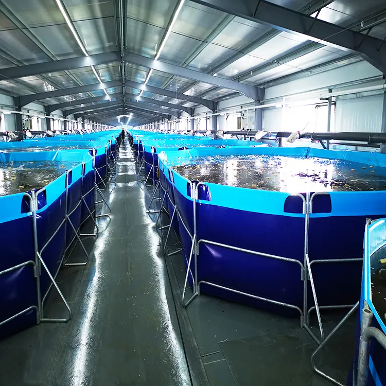 2023防水10,000L長方形水槽設備PVC養魚池タンク屋内養魚設備