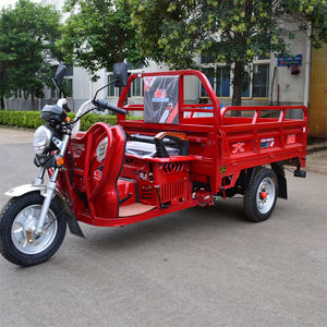 Motocicleta <span class=keywords><strong>de</strong></span> <span class=keywords><strong>Tres</strong></span> <span class=keywords><strong>Ruedas</strong></span> <span class=keywords><strong>de</strong></span> Gasolina <span class=keywords><strong>de</strong></span> 125cc/150cc a <span class=keywords><strong>Precio</strong></span> Competitivo <span class=keywords><strong>para</strong></span> <span class=keywords><strong>Adultos</strong></span>, Tipo Abierto con Capacidad <span class=keywords><strong>de</strong></span> Carga <span class=keywords><strong>de</strong></span> 1.6m, Conducción Eléctrica - Product Image 3