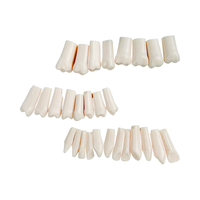 Modelo Anatómico de Dientes Dentales de 28/32 Piezas, Dientes de Repuesto para Práctica de Técnico Dental, Modelos Nissin / Modelo de Cabeza para Simulador Dental