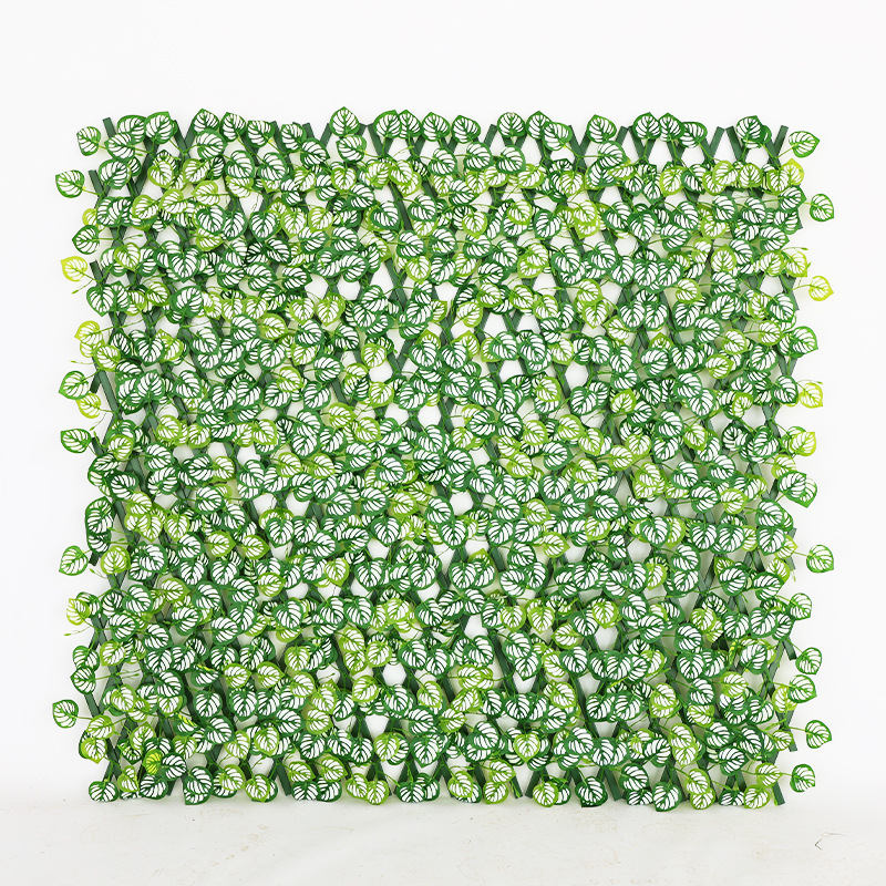 ใบฟีนิกซ์ขาว