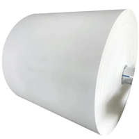 Papier d'emballage spécial de qualité alimentaire, résistant à l'humidité, de marque Zhejiang SINOSEA, en pâte de bois vierge PE, non couché, offset