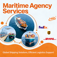 Agent d'expédition professionnel de la Chine vers les États-Unis |   Service de fret maritime LCL+Express via Matson pour les achats B2B avec expédition en 3 jours