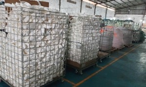 Sangle en PE PP de couleur et de taille personnalisées pour chaussures, sacs, bagages et produits pour animaux de compagnie usine du Vietnam - Product Image 6