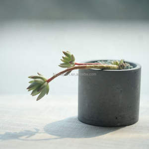 Vaso di porcellana ceramica di <span class=keywords><strong>Design</strong></span> moderno elegante e contemporaneo per arredamento d'interni moderno vaso <span class=keywords><strong>in</strong></span> <span class=keywords><strong>cemento</strong></span> - Product Image 5