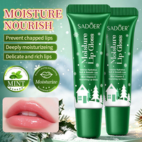 SADOER ODM Factory Direct Christmas Mint Vitamin E Nourishing Lip Gloss 10ml pour tous types de peaux