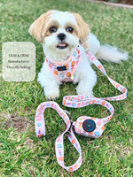 Harnais réglable pour chien Kawaii Asian Treats & Food Design Harnais léger en néoprène sans traction pour petits et grands chiens et chats