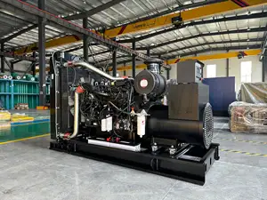 Factory Outlet Water Cooling 288/320kw 6-cylinder For Backup Power Silent Diesel Generators