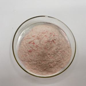 <span class=keywords><strong>Vatica</strong></span> <span class=keywords><strong>Astrotricha</strong></span> Ekstrak Greengage Green Plum <span class=keywords><strong>Powder</strong></span> - Product Image 4
