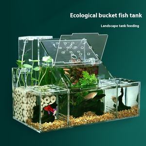 Bể cá để bàn sinh thái 5W, hộp cách ly đặc biệt dành cho nhân giống cá <span class=keywords><strong>guppy</strong></span>, ấp trứng, lọc nước tuần hoàn, thiết kế sáng tạo - Product Image 2