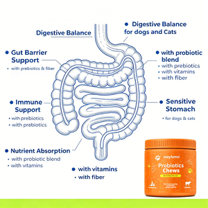 Waylemo Vitamine per Cani, Probiotico Masticabile per la Salute degli Animali Domestici, Digestione Intestinale, Gusto Manzo, Vendita all'Ingrosso OEM - Product Image 4