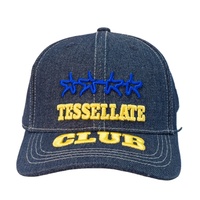Gorra de béisbol vaquera Lisa Retro personalizada para mujer, impermeable, con estampado de leopardo, ala curva, protección solar, viajes al aire libre
