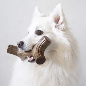 Bastone durevole per giocattoli per animali da compagnia nuovi arrivi cane masticare giocattolo masticatori aggressivi per giocattoli per animali - Product Image 6
