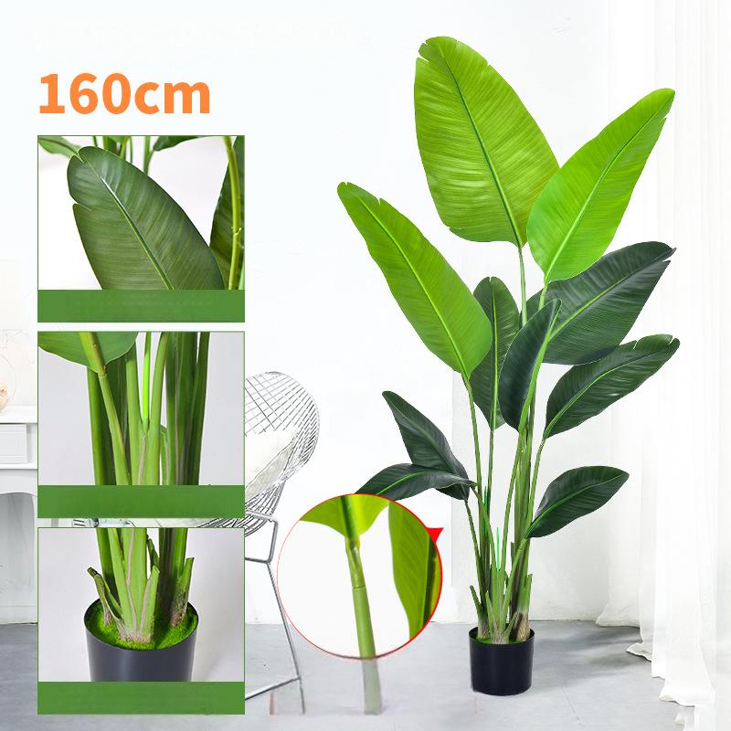 160cm With black plastic flowerpot