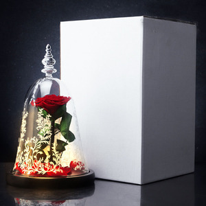 Rosas Secas Preservadas Eternas al por Mayor para <span class=keywords><strong>Navidad</strong></span> <span class=keywords><strong>y</strong></span> San Valentín, Cubiertas de Cristal, La <span class=keywords><strong>Bella</strong></span> <span class=keywords><strong>y</strong></span> la <span class=keywords><strong>Bestia</strong></span> - Product Image 3