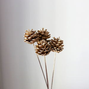 Fleur naturelle préservée, faite à la main, éternelle, longue durée (3-5 ans), fabriquée en Chine - Product Image 5