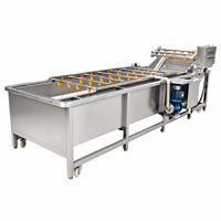 Fruit- en groenteverwerkingsmachines, fruit- en groentewasmachine, bubbelwasmachine voor fruit en groenten