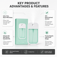 Spray désinfectant pour les mains transparent fait main, antibactérien, portable, à ingrédients actifs, pour la maison