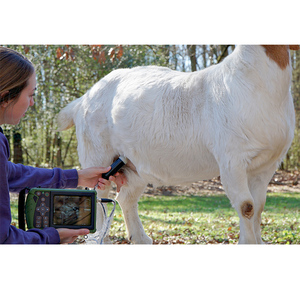 Diergeneeskundig draagbaar echografie-apparaat - Product Image 4