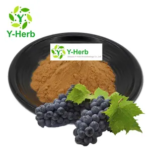 Organic Vitis Vinifera/Grape Leaf Powder Extract Water Soluble 10:1 Pu Tao Ye/Grape Leaf Extract