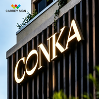 Enseigne LED personnalisée Carrey Sign pour extérieur, étanche, de luxe, pour boutique, murale, pour devanture de magasin, enseigne commerciale