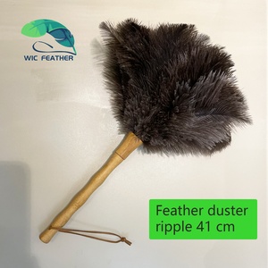 <span class=keywords><strong>Plumeau</strong></span> d'autruche <span class=keywords><strong>blanc</strong></span> pur et doux de 16 pouces pour le nettoyage - Product Image 5