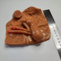 Modèle d'entraînement de la vésicule biliaire humaine KyrenMed modèle de pratique de chirurgie hépatologique en silicone simulateur d'entraînement laparoscopique