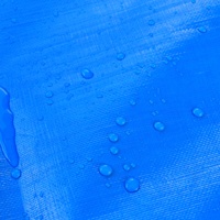 Bâche imperméable robuste transparente bleue et blanche en PE anti-âge isolante avec œillets