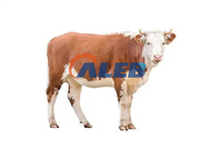 Abattoir à porcs manuel de petite capacité, de haute qualité, à bas prix, machine d'abattage, Heldelectric, abatteur électrique pour porcs