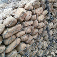 Gabion hexagonal revêtu de Galfan, gabion durable pour la restauration des rivières
