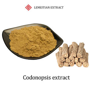 Extrait de Codonopsis Pilosula |   Polysaccharides de Codonopsis |   Peptide de Codonopsis |   Saponines de Codonopsis |   Soutien Vitalité Premium - Product Image 1